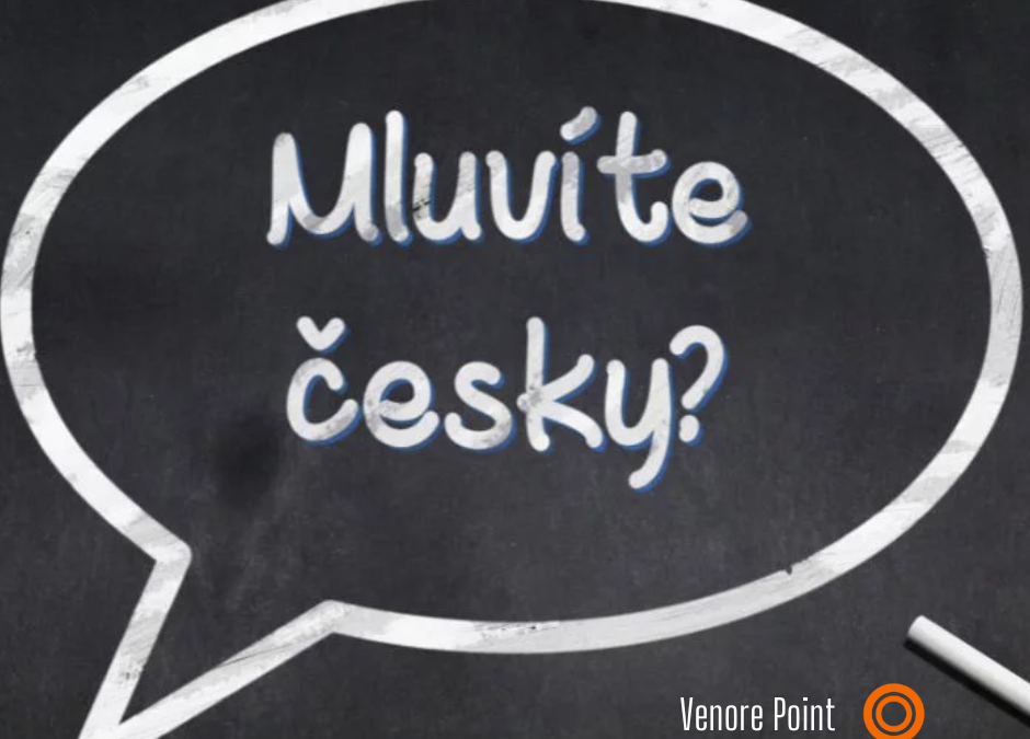 Kurz češtiny pro cizince A1 pro začátečníky. Online i prezenčně.